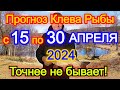 Календарь рыбака с 15 по 30 апреля 2024 Прогноз клева рыбы Лунный Календарь рыбака 2024