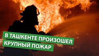 В Ташкенте произошел крупный пожар