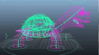 Turtle Rig 3D model from CGTrader.com