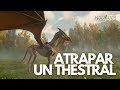 Cómo atrapar a un THESTRAL ¡muy fácil! | HOGWARTS LEGACY ✅