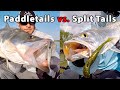 Paddletails vs. Split Tail Lures (Which One To Use When & Why)