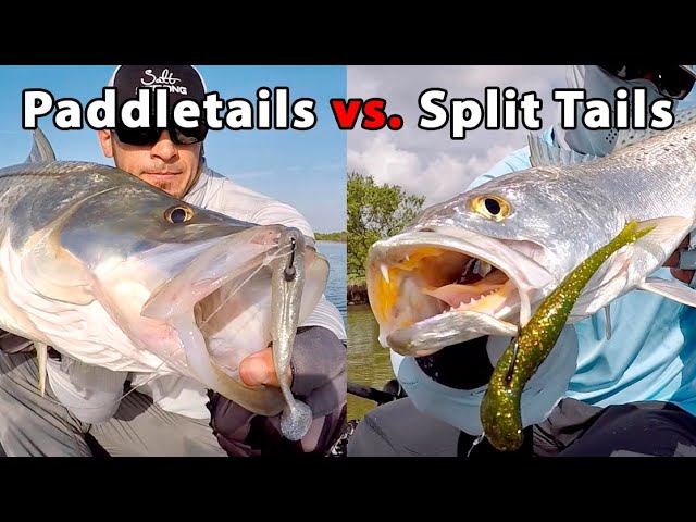 Paddletails vs. Split Tail Lures (Which One To Use When & Why