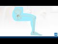 Understanding Muscles