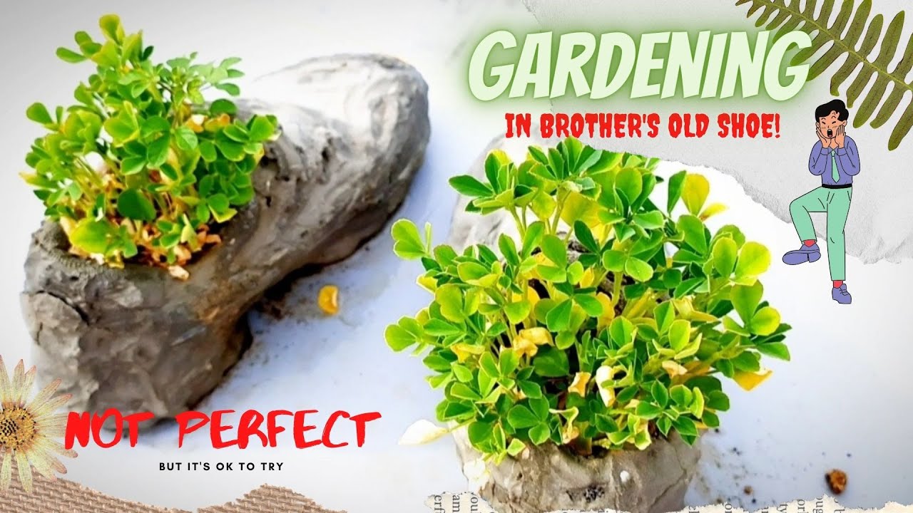 Gardening || Planting In My Little Brother's Old Shoes || Cement Project