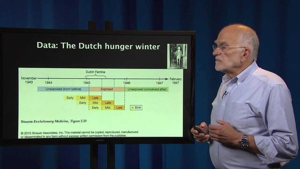 2.10 - What is a patient? Developmental origins of health and disease