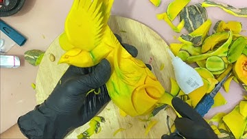 HƯỚNG DẪN CẮT TỈA CON VẬT #4 : CẮT TỈA CHIM KHUYÊN BẰNG BÍ ĐỎ CƠ BẢN ĐẾN NÂNG CAO