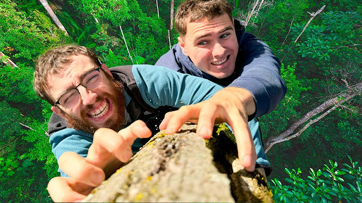 Le Dernier Qui Tombe de L'arbre Gagne !!