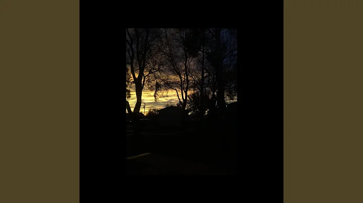 And Still the Light Grew