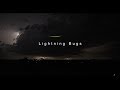 Lightning Bugs