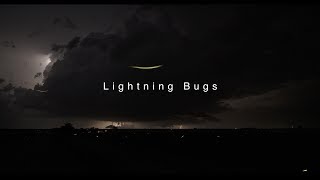 Lightning Bugs