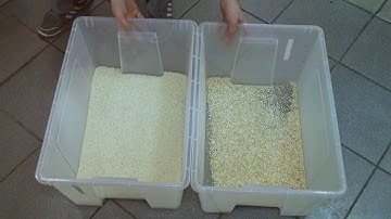 Сolour sorting of rice on SmartSort optical sorter