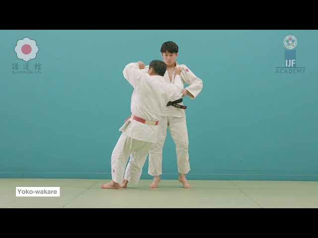 ¥aj4yam 白ベルト　yoko waka 横分 / Yoko-wakare - YouTube