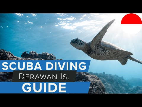 Vidéo: Les îles Derawan de Bornéo : le guide complet