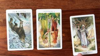 Daily Tarot Reading for 30 January 2017 | Gregory Scott Tarot