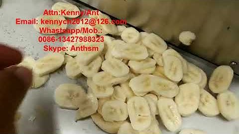 CH-20 green banana/ plantain chips cutting slicing machine, celery cutter slicer