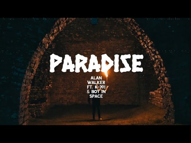 alanwalker #k391 #boyinspace #paradise