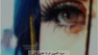 ( موال ) سود العيون || مهذل الصقور || محسن ال مطارد