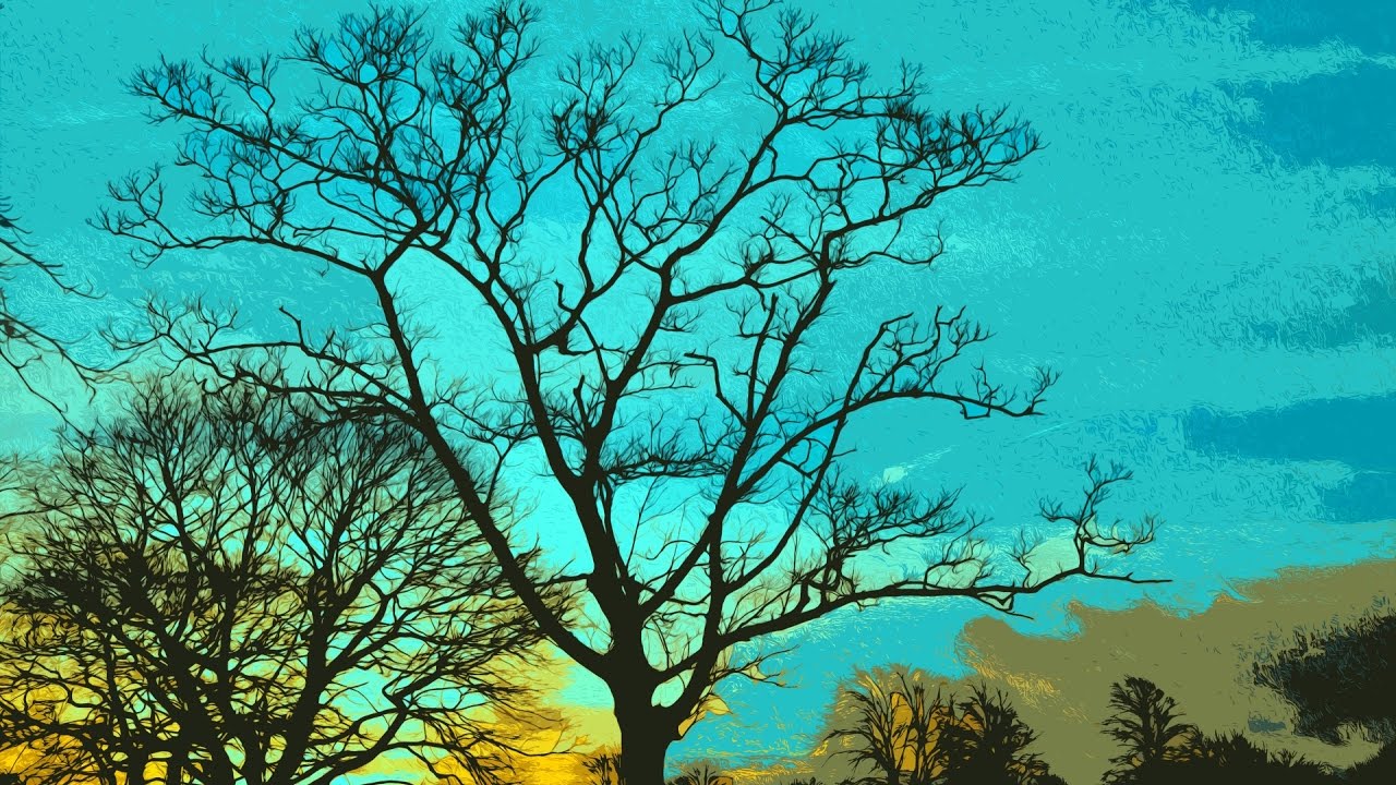 Leo 2017 Astrological Forecast