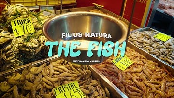 Filius Natura - THE FISH