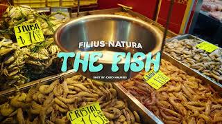 Filius Natura - The Fish
