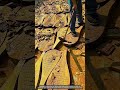 How Traditional Wood Chiseling Turns Raw Timber Into Giant Clog Shapes