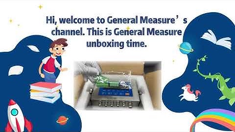 Brand New Harsh Mount Weight Indicator GMT-H2