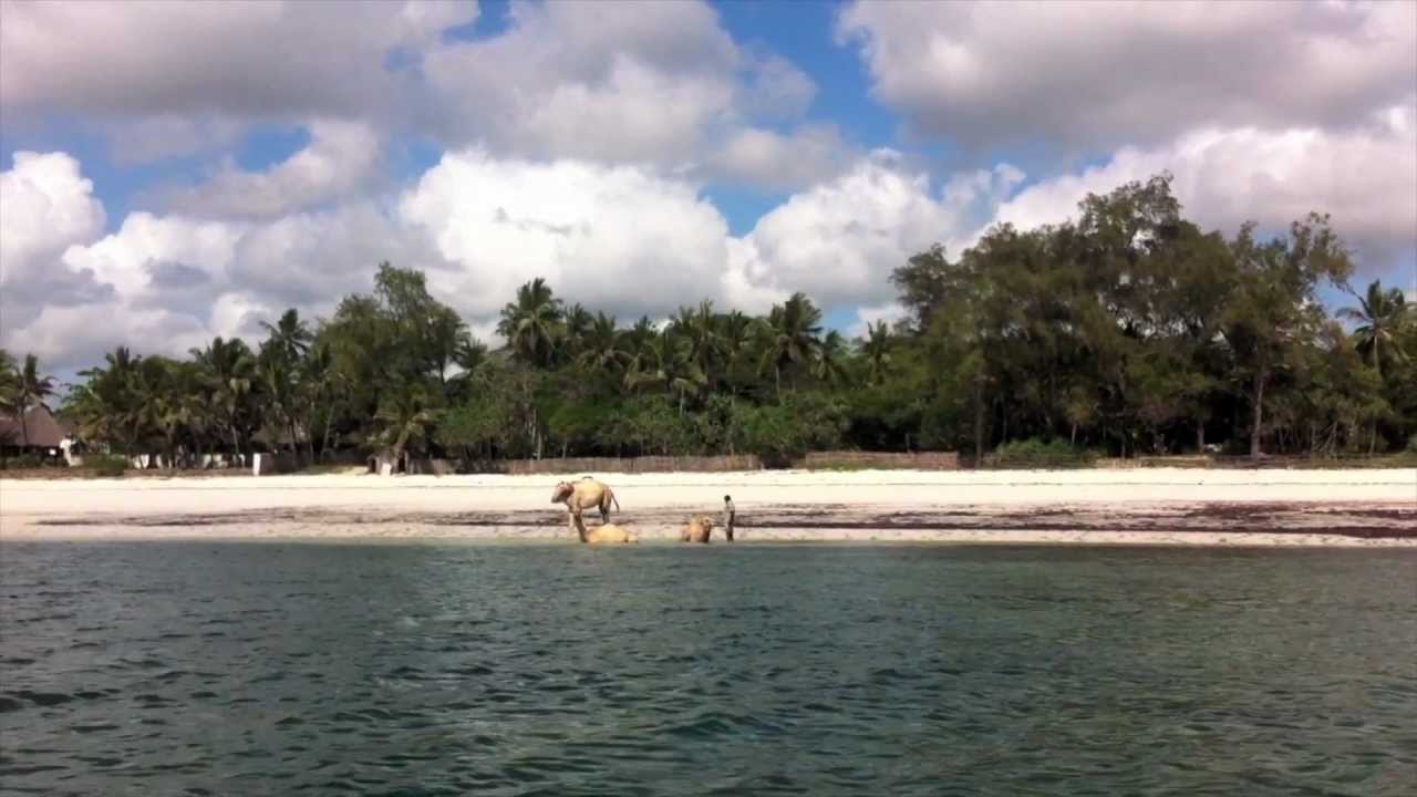 Segbroek College in Kenya 2012