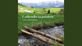 Veje vietor, veje