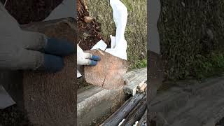 реконструкция старого дома в деревне, ч6 #домвдеревне #частныедома #ремонт