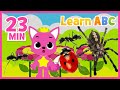 Learn Bugs Names With Pinkfong Compilation English Vocabulary For Kids Pinkfong ABC mp3