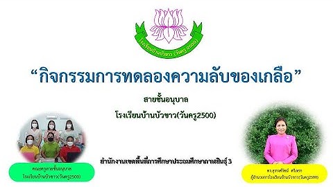 กิจกรรมการทดลองความลับของเกลือ โรงเรียนบ้านบัวขาว(วันครู2500)