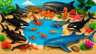 Large & Small Sea Animals | DIY Sea 3D Animals Fun Diorama with Whales, Sharks, Dolphin & More