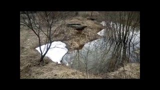 TALC АДАМ (2016)