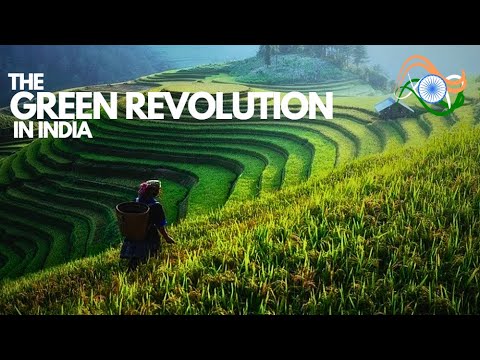 The Green Revolution In India | Transforming Agriculture And Food Production