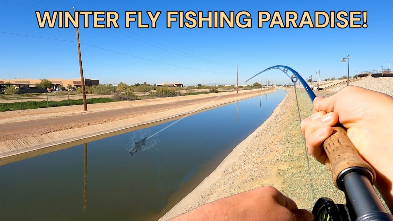 Fly Fishing a Winter Paradise (Arizona Canals) - YouTube