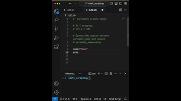 Variables & Data types - #linux #automation #shell