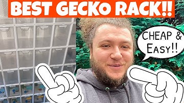 BEST CRESTED GECKO BREEDING RACK & SETUP!!