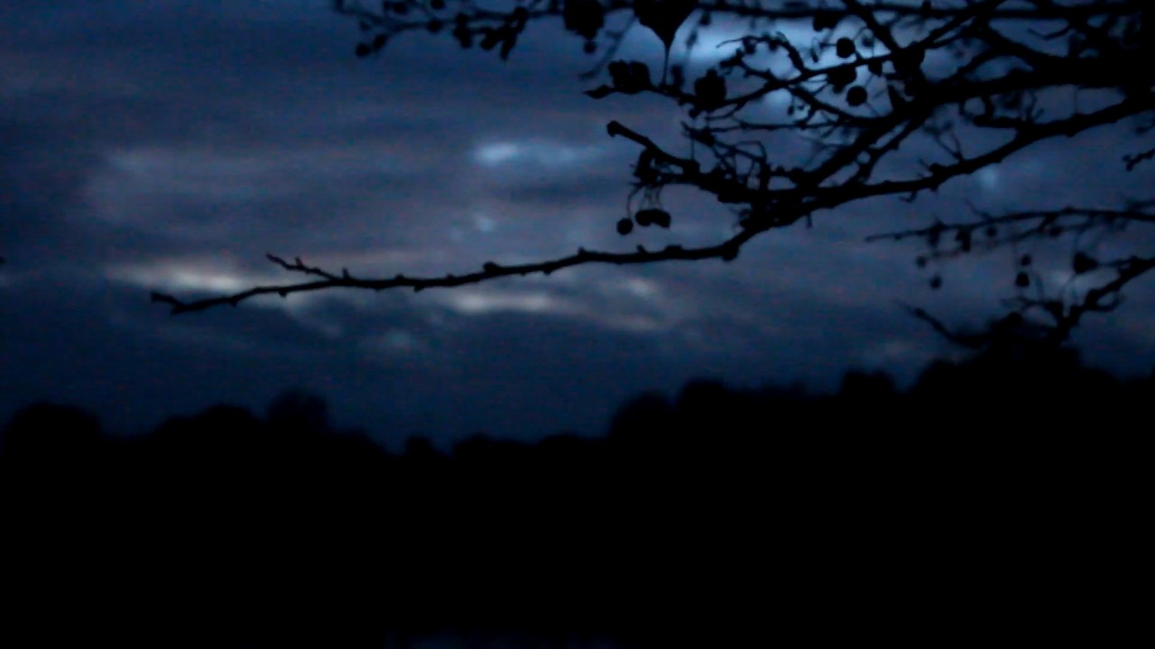 Endless (music video)