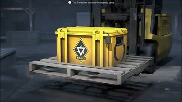 CS2 | Opening A Case Until I Get A Gold.... Day 29