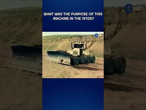 WHAT WAS THE