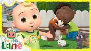 codys doggie day new cocomelon lane episodes on netflix full episode