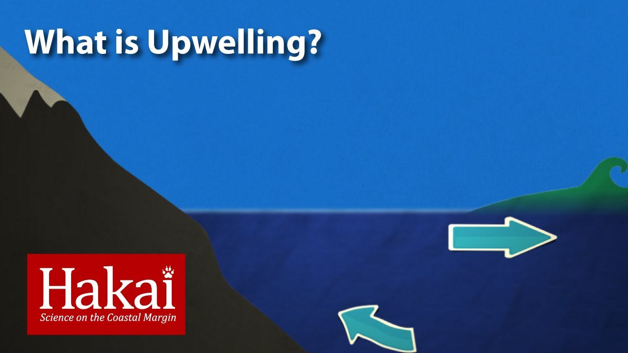 What Is Upwelling?