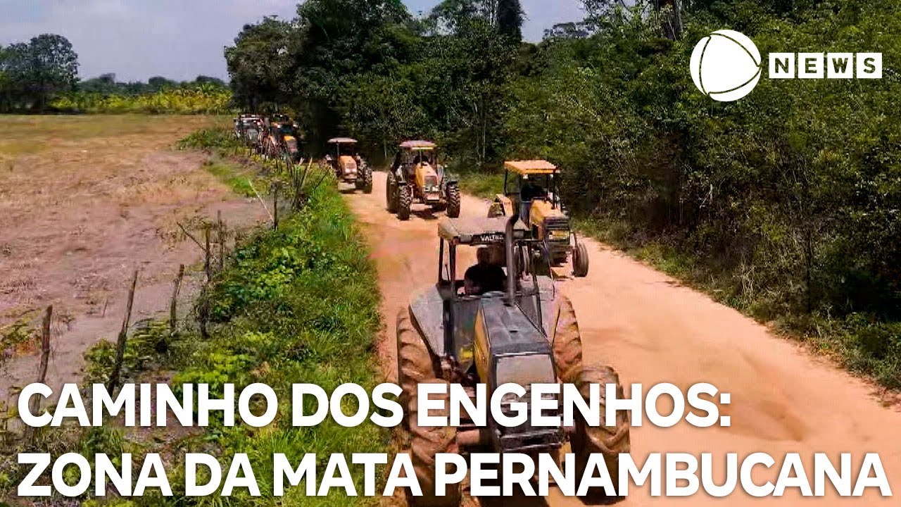 Caminho dos Engenhos: a tradição e a força cultural da Zona da Mata pernambucana