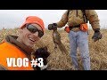 South Dakota Pheasant Hunting & Dog Training | Gould Brothers VLOG