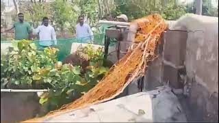 Pune Leopard Rescue