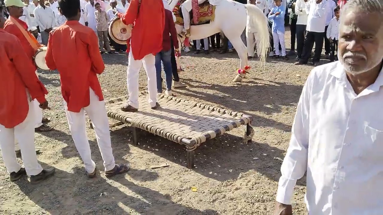 अमोल शिंदे यांच्या लाडका सोन्या महाराष्ट्र केसरी 7709353259सागवि