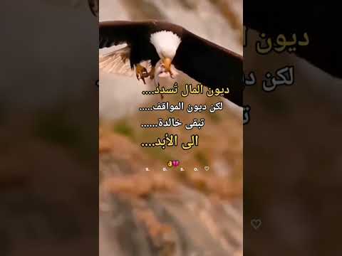 ديون المال تسدد