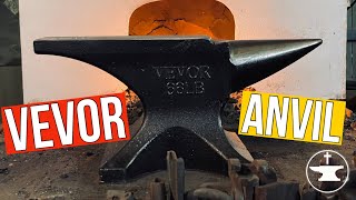 Budget Anvil  I REVIEW OF VEVOR ANVIL  I