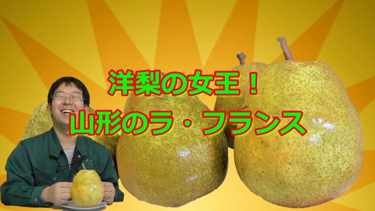 洋梨の女王 山形のラ フランス Youtube