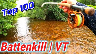 Fly Fishing The BATTENKILL RIVER | Top 100 Trout Stream In America